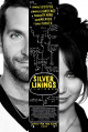 The Silver Linings Playbook