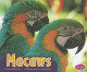 Macaws