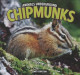 Chipmunks