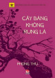 Cây Bàng Không Rụng Lá