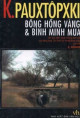 Bông Hồng Vàng Và Bình Minh Mưa