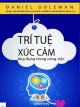 Trí tuệ xúc cảm ứng dụng trong công việc