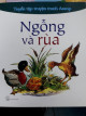 Ngỗng và rùa