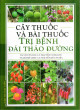 Cây Thuốc Và Bài Thuốc Trị Bệnh Đái Tháo Đường