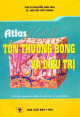 Atlas tổn thương bỏng và điều trị