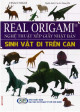 Real Origami - Nghệ thuật xếp giấy Nhật Bản (#2) Sinh vật đi trên cạn