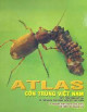 Atlas côn trùng Việt Nam ( Tập 1)- Côn trùng gây hại và thiên địch của chúng trên cây thực phẩm