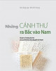 Những cánh thư ra Bắc vào Nam : chuyện về những bức thư của gia đình Đại tướng Nguyễn Chí Thanh