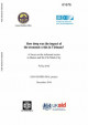 How deep was the impact of the economic crisis in Vietnam? : a focus on the informal sector in Hanoi and Ho Chi Minh City : policy brief