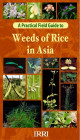 A practical field guide to weeds of rice in Asia