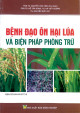 Bệnh đạo ôn hại lúa và biện pháp phòng trừ