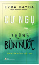 Cư ngụ trong bùn nước