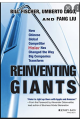 Reinventing giants : how Chinese global competitor Haier has changed the way big companies transform / Bill Fischer, Umberto Lago, and Fang Liu ; foreword by Alexander Osterwalder