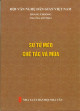 Sư tử mèo chế tác và múa